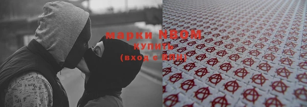 Альфа ПВП Верея
