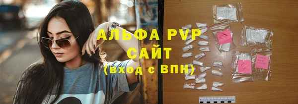 Альфа ПВП Верея
