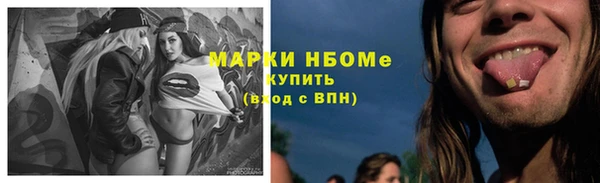 Альфа ПВП Верея