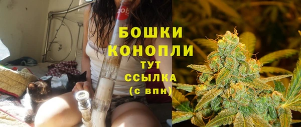 Альфа ПВП Верея