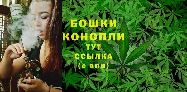 Альфа ПВП Верея