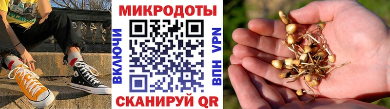 Галлюциногенные грибы Magic Shrooms  Купить закладки  Кубинка 